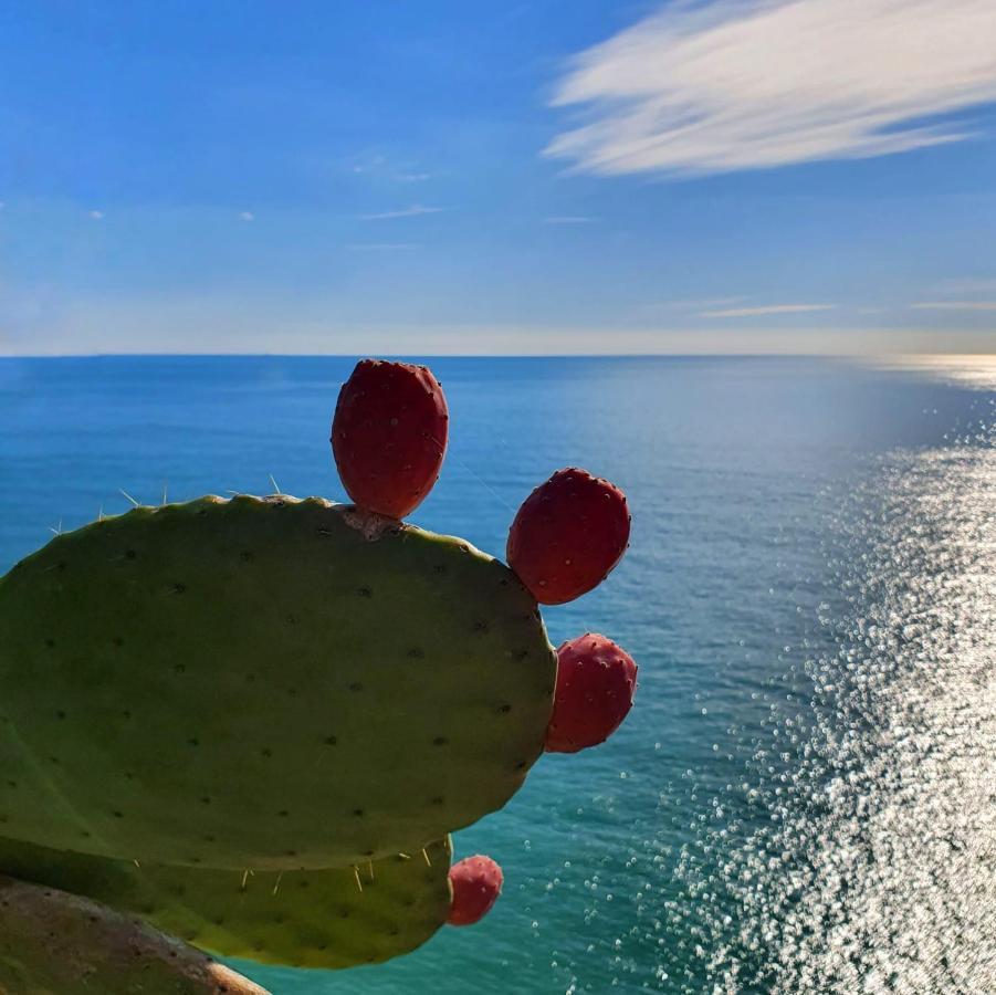 La Terrazza Sul Blu Apartamento Corniglia Exterior foto