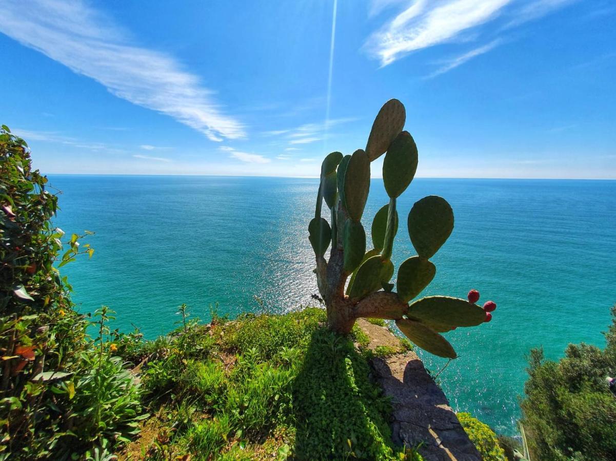 La Terrazza Sul Blu Apartamento Corniglia Exterior foto