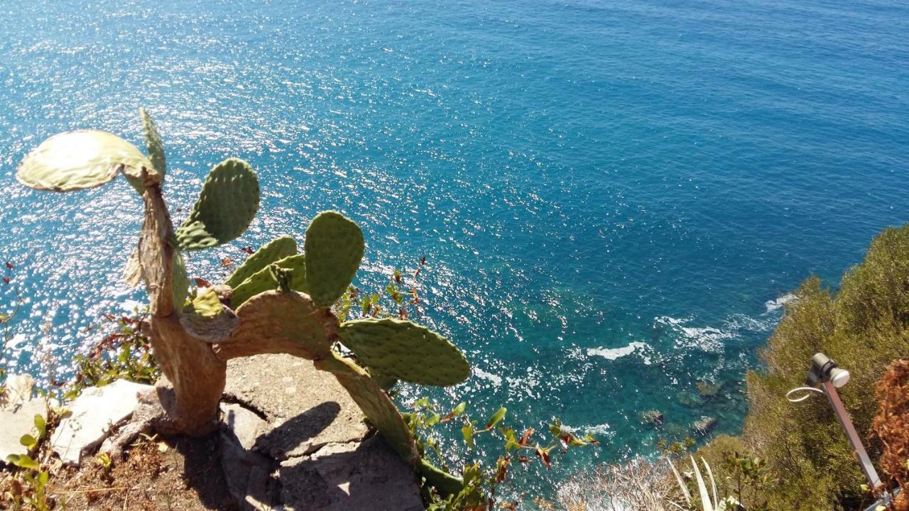 La Terrazza Sul Blu Apartamento Corniglia Exterior foto